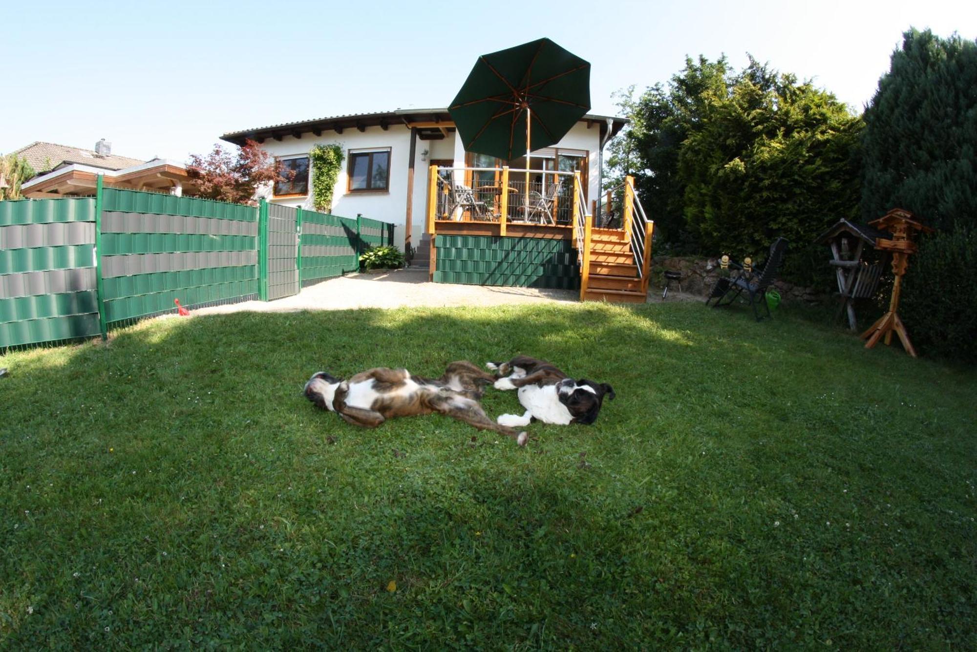 Haus Ceddy Hébergement de vacances Diemelsee